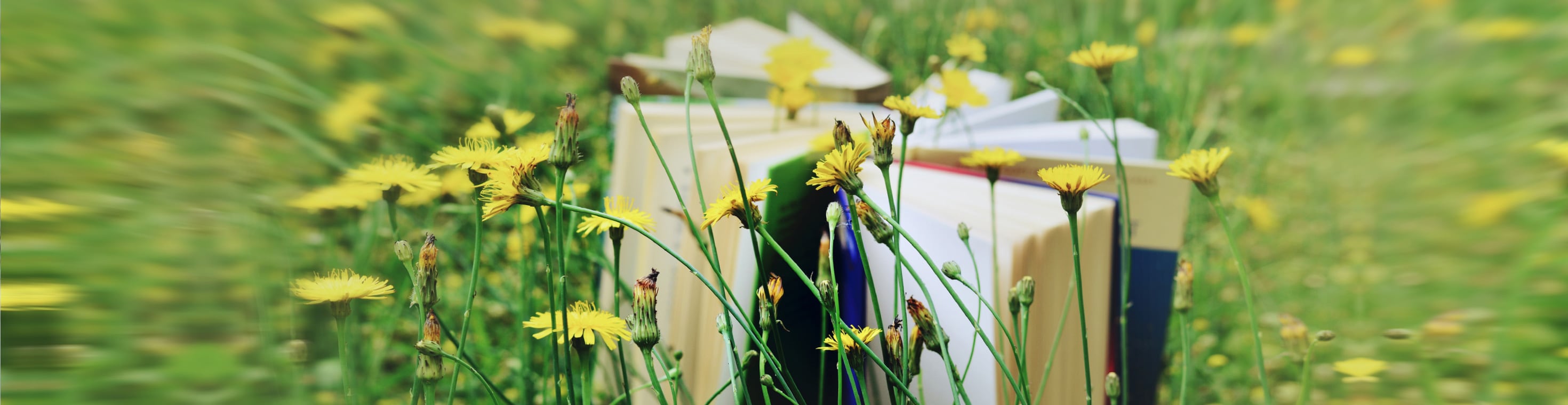 9 Literatur